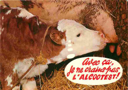 Delcampe - Animaux - Vaches - Carte Humoristique - Veau - CPM - Voir Scans Recto-Verso - Vacas