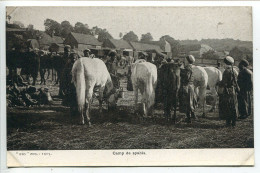 Delcampe - Militaria * CPA Guerre 1914 18 * CAMP De SPAHIS ( 1915 Chevaux Soldats ) - Guerra 1914-18
