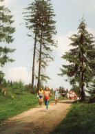 Delcampe - CLB - ATHLETISME - CPM - GUTS MUTHS - RENNSTEIGLAUF - EUROPA'S GROSSTER CROSS - SUPERMARATHON - Leichtathletik