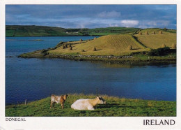 Delcampe - 1 AK Irland / Ireland * Loughros Beg Bay - Near Ardara - County Donegal * - Donegal