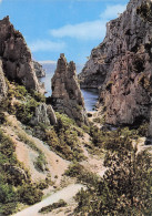 Delcampe - 13 CASSIS CALANQUE D EN VAU - Cassis