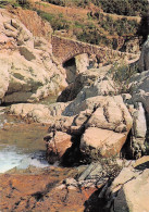 Delcampe - 30 SAINT JEAN DU GARD LE PONT SUR LE GARDON - Saint-Jean-du-Gard