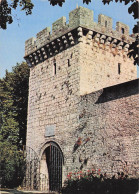 Delcampe - 70 GRAY LA TOUR DU CHATEAU - Gray