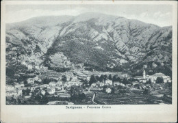 Delcampe - Bb780 Cartolina Savignone Panorama Centro Provincia Di Genova Liguria - Genova (Genua)