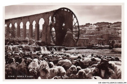Delcampe - CAR-ADWP10-0561-SYRIE - Noria A Hama - Syrien