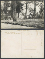 Delcampe - Japan Old Postcard Gegu Temple Shrine Ise Torii Gate Pine Trees 伊勢外宮 本殿 大廟外宮 - Sonstige & Ohne Zuordnung