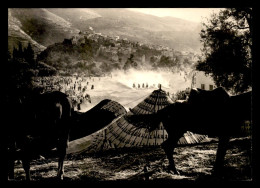 Delcampe - MAROC - MOULAY IDRISS - LE MAUSSEM - SERIE VISAGE PHOTOGRAPHIQUE DU MAROC - EDIT BERNARD ROUGET, CASABLANCA - Sonstige & Ohne Zuordnung