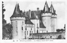 Delcampe - 45-SULLY SUR LOIRE-N°T2602-E/0331 - Sully Sur Loire