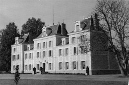 Delcampe - 94 CACHAN LE CHATEAU DE LA VALSINE EN FORET DE RAMBOUILLET - Cachan