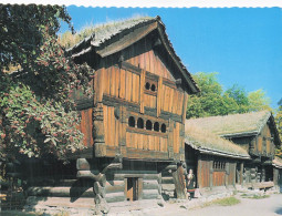 Delcampe - NORVEGE OSLO NORSK FOLKEMUSEUM VIEILLE FERME DE SETESDAL - Norwegen