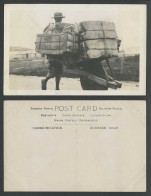 Delcampe - China Old Real Photo Postcard Native Chinese Coolie And Wheelbarrow Wheel Barrow - China