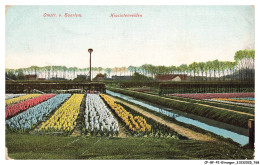 Delcampe - CF-BFP2-1182-PAYS-BAS - Omstr-v HAARLEM - Hiacintenvelden - Haarlem