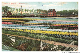 Delcampe - CF-BFP2-1183-PAYS-BAS - Omstr-v HAARLEM - Hiacintenvelden - Haarlem