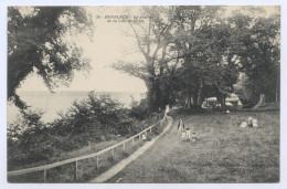 Delcampe - Honfleur, 50-le Plateau De La Côte De Grâce (lt11) - Honfleur