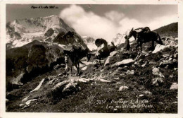 Delcampe - Paysage à Arolla - Les Mulets De La Poste (3231) * 24. 7. 1932 - Evolène