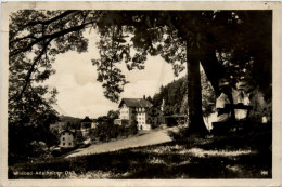 Delcampe - Wildbad Adelholzen - Traunstein