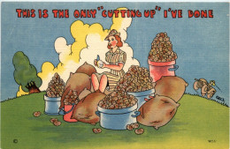 Delcampe - Humor - This Is The Only - Humor