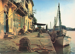 Delcampe - 34 AGDE LES BORDS DE L HERAULT - Agde