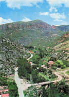 Delcampe - HONDURAS LA CEIBA VUE GENERALE DE LA COTE - Honduras