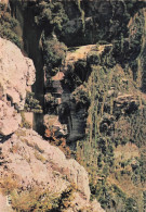 Delcampe - 12 MILLAU LES GORGES DU TARN - Millau