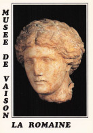 Delcampe - 84 VAISON LA ROMAINE MUSEE DE VAISON LA ROMAINE - Vaison La Romaine