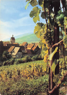 Delcampe - 68 RIQUEWIHR VIGNOBLE ALSACIEN - Riquewihr