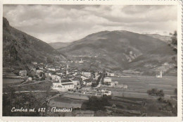 Delcampe - CEMBRA BELLA AMPIA VEDUTA FOTOGRAFICA FORMATO PICCOLO ANNO 1950 VIAGGIATA - Trento