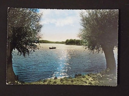 Delcampe - GAVIRATE -F.G. - Varese