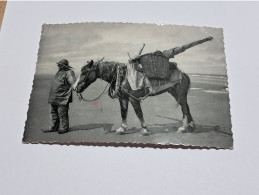 Delcampe - De Panne. Retour Du Pêcheur De Crevettes. Cheval. - De Panne