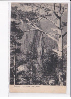 Delcampe - UKRAINE: : En Forêt - état Décollée Unglued - Ukraine