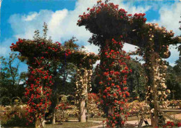 Delcampe - 13 - Marseille - Le Parc Borély - La Roseraie - Fleurs - CPM - Flamme Postale - Voir Scans Recto-Verso - Parks, Gärten