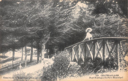 Delcampe - 17-CHATELAILLON-N°T1110-D/0319 - Châtelaillon-Plage