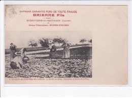 Delcampe - PITHIVIERS-en-GATINAIS: Safrans Garantis Purs De Toute Fraude, La Récolte Du Safran - état - Pithiviers