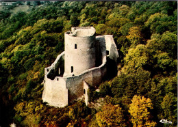 Delcampe - Cpsm   -   La Roche Guyon - Le Donjon  M137 - La Roche Guyon