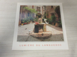 Delcampe - CP CARTE POSTALE Gd FORMAT LANGUEDOC OISEAUX Sur FONTAINE - Vierge - Languedoc-Roussillon