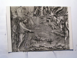 Delcampe - Orvieto - Duomo - Dettaglio Primo Pilastro ..... - Terni