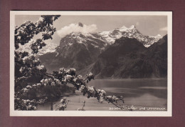 Delcampe - GITSCHEN Und Urirotstock - Sonstige & Ohne Zuordnung