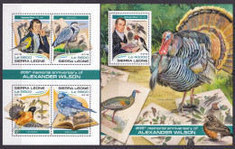 Delcampe - 2018 Sierra Leone 9574-9577KL+9578/B1443 Birds, Alexander Wilson 22,00 € - Songbirds & Tree Dwellers