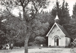 Delcampe - 42 NOIRETABLE NOTRE DAME - Noiretable