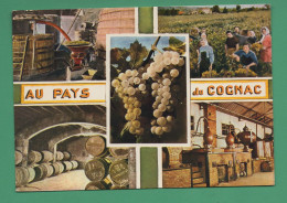 Delcampe - 16 Au Pays De Cognac Les Vendanges, Les Chais, Une Distillerie ( Alambic, Tonneau, Barriques, Pressoir ) - Cognac