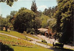Delcampe - CHATEL GUYOON Un Coin Du Parc 13(scan Recto-verso) MA2236 - Châtel-Guyon