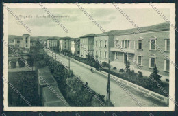 Delcampe - Modena Vignola Cartolina MV2341 - Modena