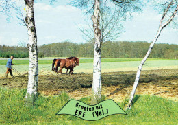 Delcampe - Groeten Uit EPE - Epe