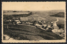 Delcampe - AK Ehnen S/Moselle, Ortsansicht Mit Weinbergen - Autres & Non Classés