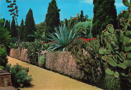 Delcampe - ES CATALUNA COSTA BRAVA BLANES - Sonstige & Ohne Zuordnung