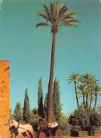 Delcampe - MAROC MARRAKECH - Marrakech