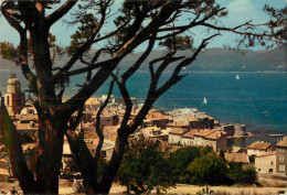 Delcampe - 83 SAINT TROPEZ - Saint-Tropez