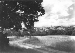 Delcampe - CPSM - REPUBLIQUE TCHEQUE - BREZNIK Okr. Trebic - Tschechische Republik