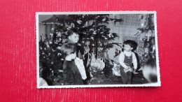 Delcampe - Zalec Ali Horjul?.Novoletno Drevesce,socialisticne Jaslice/crib? - Slowenien