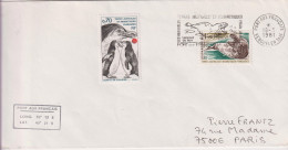 Delcampe - TAAF Lettre Pour La France 1981 - Covers & Documents